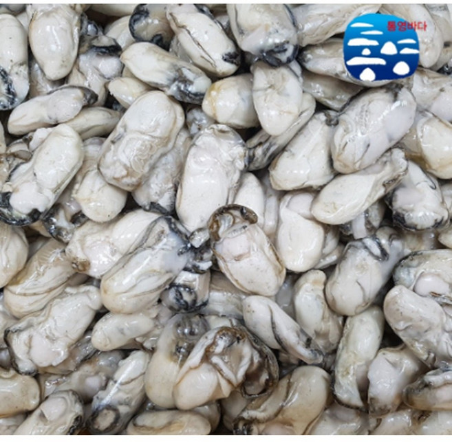 통영 냉동굴 급냉 중 대 특대 1kg, 1개, 냉동굴 대 1kg