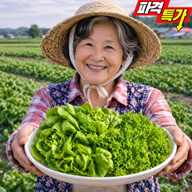 산지직송 유럽샐러드 유러피안 샐러드 채소, 1세트, 1kg