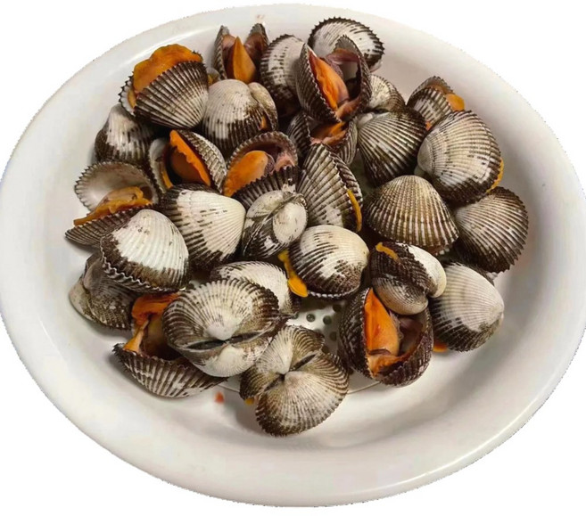 [새벽작업 당일발송] 재구매1위 벌교직송 새꼬막, 1세트, 3kg