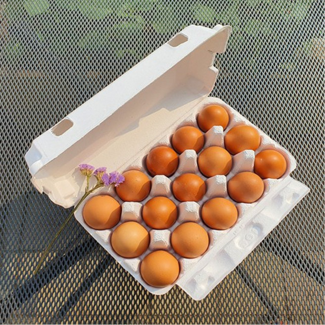 15구 밀폐 종이계란판 30개묶음 난좌 선물용 전도용 판촉용 달걀포장 다벅스, 30개