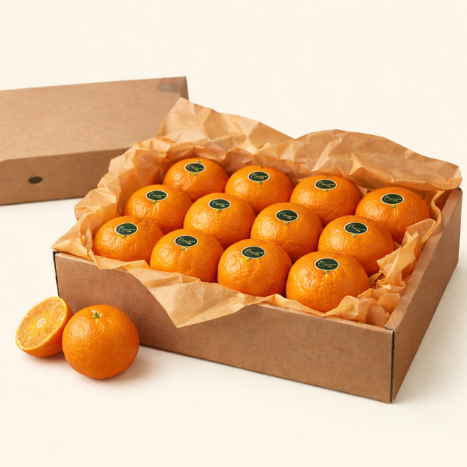 [백화점 납품] 명품 과일 선물 세트 레드향 외 만감류 혼합 3종 세트, 1박스, 3kg 명품 레드향(대과)