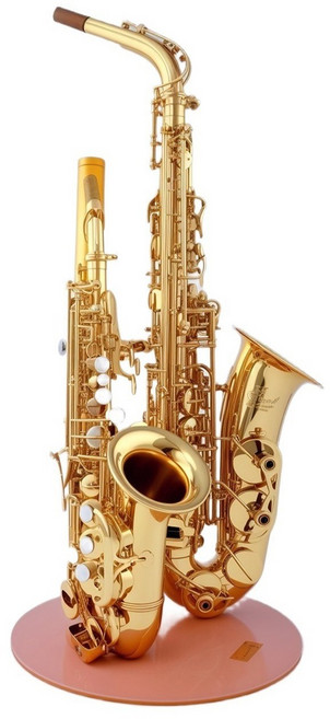 이스턴 색소폰 스탠드 소프라노 알토 테너 바리톤 휴대용 가방 포함, 1개, 더블 골드
