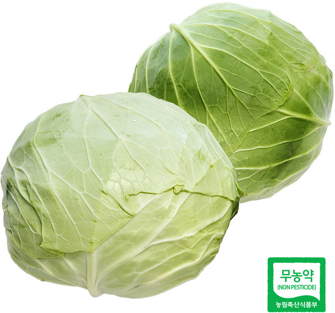 울팜 아삭 달달 국내산 친환경 양배추 제주 무안 밀양, 2kg, 1박스