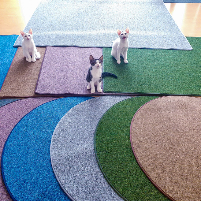 펫스트샵 고양이 평판형 스크래쳐 원형 대형 80cm, 1개, 블루 사각형 중형 (40cm*60cm)