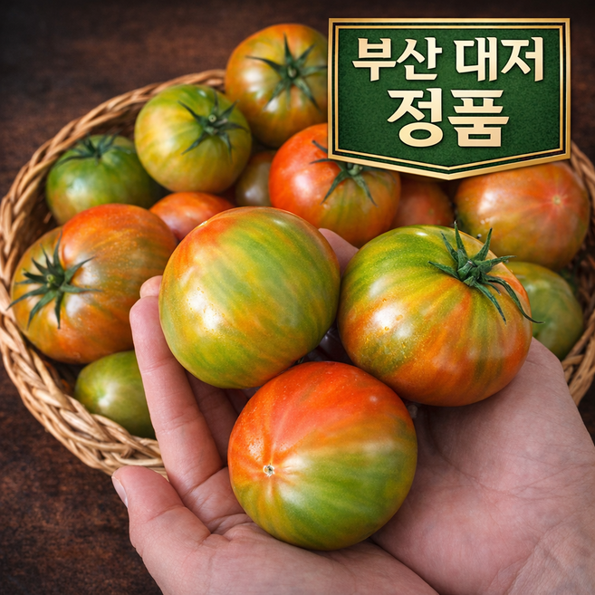 [자매온] 부산 짭짤한 대저토마토 고당도선별 산지직송, 1박스, 2.5kg (대 L-2L)