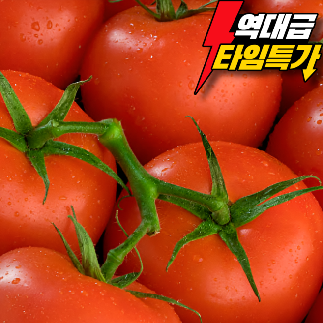 [한정특가] 하루딱100박스 산지직송 특품 완숙토마토, 1박스, 5kg(랜덤)