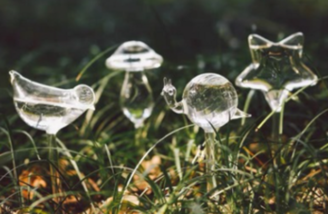 화분 유리 급수기 - 자동급수 급수 물주기 영양제 공급 수분 물 인테리어 소품 분갈이용품, 02_Sein_화분유리급수기_종달새