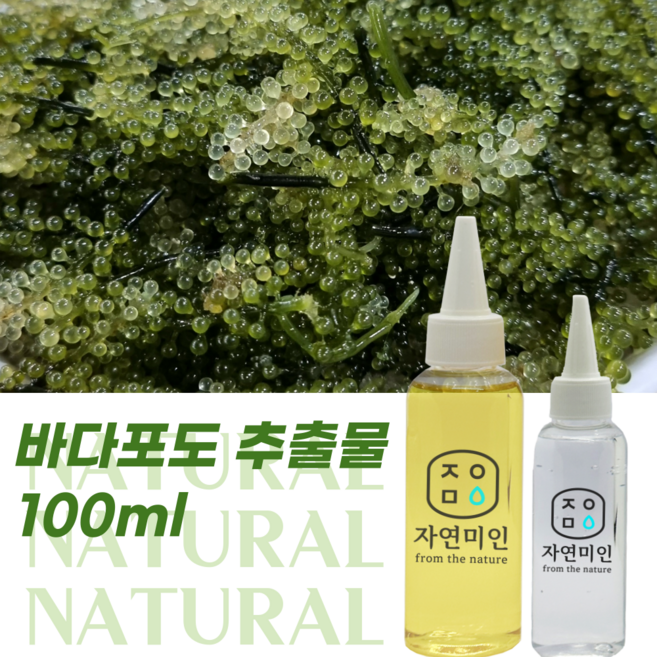 에코문 바다포도 추출물 100ml 천연 화장품 만들기 DIY 재료, 1개