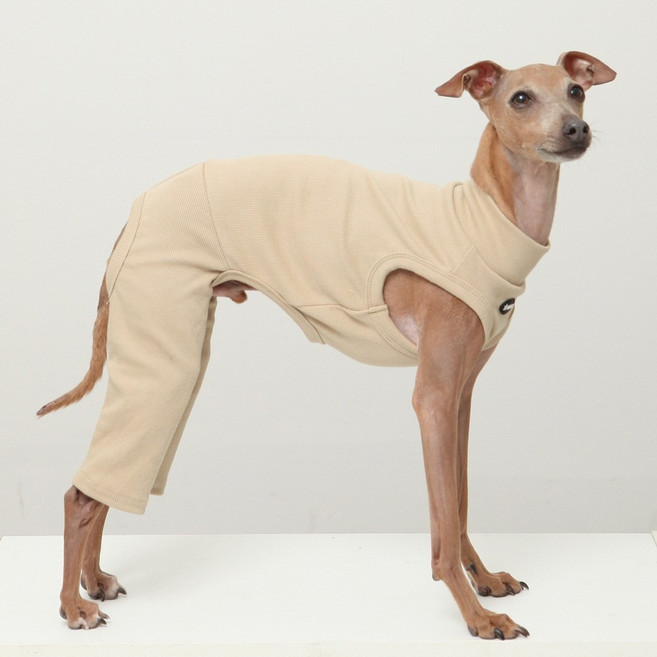 도기스타 이탈리안그레이하운드옷 아이쥐옷 민소매 신축 올인원, 1개, 모래