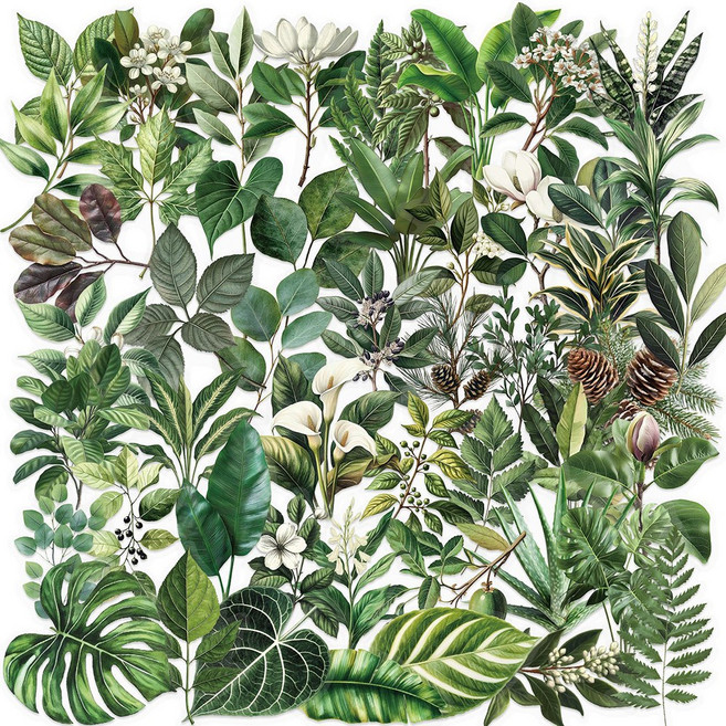 데일리펀 투명 PET 다꾸 핸드폰 노트북 꽃 플라워 소품 다이어리 꾸미기 스티커 diy 만들기재료, 50매, 나뭇잎