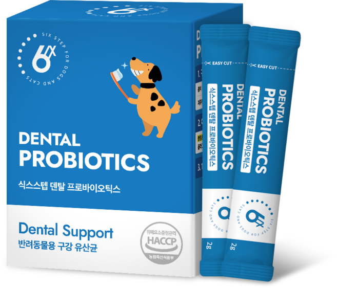 식스스텝 구강 덴탈유산균 60g [반려동물용], 2개, 구강/치석관리+장건강