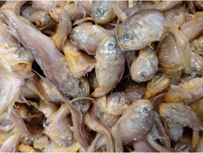 황석어젓 5키로 국내산(조미료0) 2년 숙성, 1개, 5kg