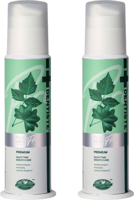 덴티스테 플러스화이트 프로 펌프형 치약, 170g, 2개