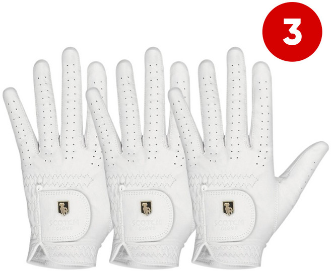 3장 프리미엄 천연양피 스카치글러브 남성 왼손 골프장갑, 화이트(할인가)
