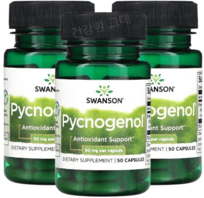 Swanson Pycnogenol 피크노제놀 50mg 50캡슐 3개 소나무껍질추출물, 50정 - 쿠팡