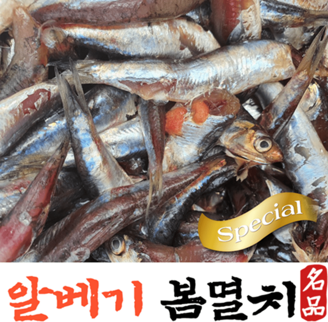 건담농수산 남해 생멸치 통멸치젓갈 맬젓 특품, 12kg, 1개