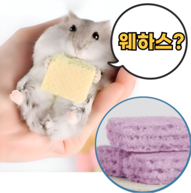 햄스터 이갈이 간식 웨하스 포도맛, 1세트, 12개