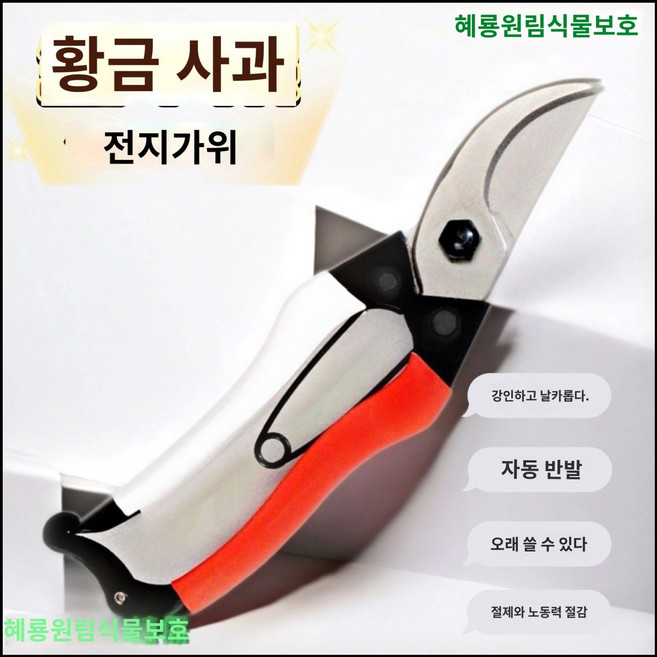 오카츠네 원예 DIY 정원 전지 NO.103 손질 200mm 가위 나무, A. 황금 사과 가지치기 가위 과일 따기 가위 포도 가, 1개