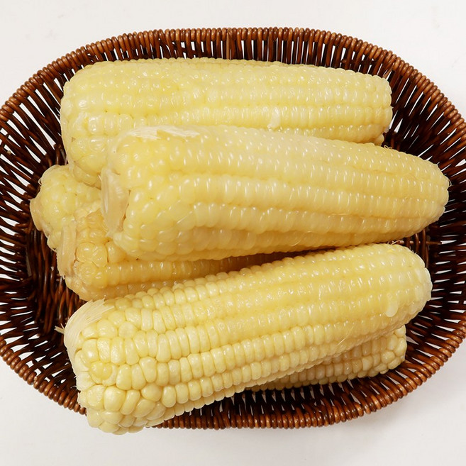유명한 옥수수 백찰 특품 쫀득한 찰옥수수, 10개, 특품 백