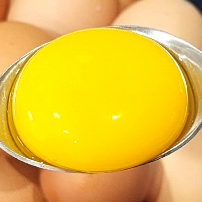 자연방사 프리미엄 계란 난각번호 2번 유정란, 1개, 60구