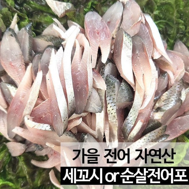 가을 전어회 세꼬시 전어포 1kg 손질후 산지직송 [진도장모와 서울큰사위], 세꼬시 전어회 1kg (손질후 600g 내외), 1개