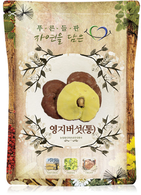 푸른들판 국내산 말린 영지 버섯, 500g, 1개