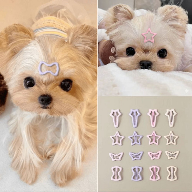 강아지 머리핀 애견핀 반려동물 악세사리 젤리파스텔 헤어핀, 혜성 4개