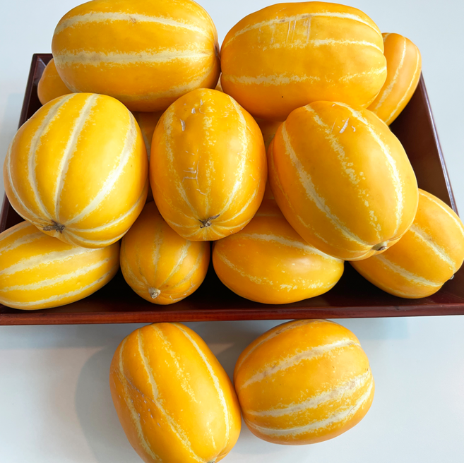 [디얼스마켓] <당일수확> 성주 꿀 참외 BEST 산지직송 달콤 아삭 당도 보장, 1박스, 못난이 참외 5kg