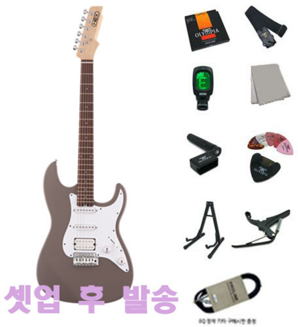 헥스 일렉기타 + 케이스, Ash Brown, E-100 S/AB, 1개