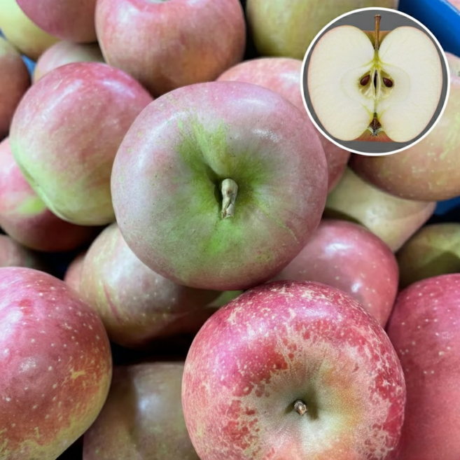 [가정용실속]경북 농장직송 부사사과 고당도, 1박스, 2kg(중소과)