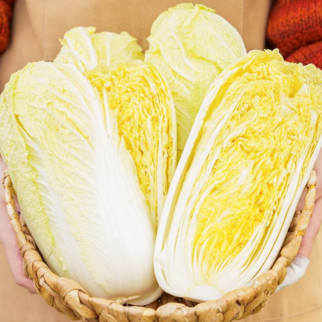 전라도청년 프레시 국산 알배기 배추 쌈배추 특품, 2개, 800g