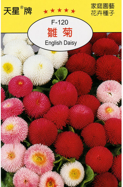 天星牌雛菊種子 F-120 野菜部屋 English Daisy 花卉種子, 1包
