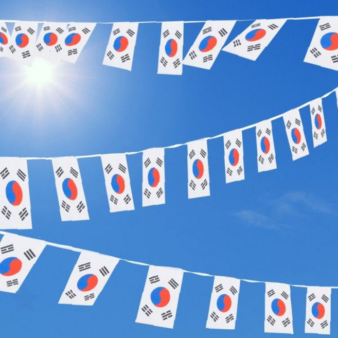 만국기 태극기 15m 50장 놀이동산 파티 기념일 행사 게양용 광복절 담요, 1개, 상세페이지 참조