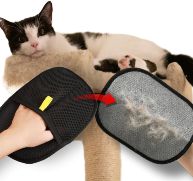 펫밈랩 고양이 털제거 털쓱싹 브러쉬 장갑, 블랙, 1개