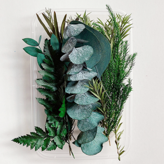 드그라쎄 드라이플라워 모음 박스, 16.그린 리프