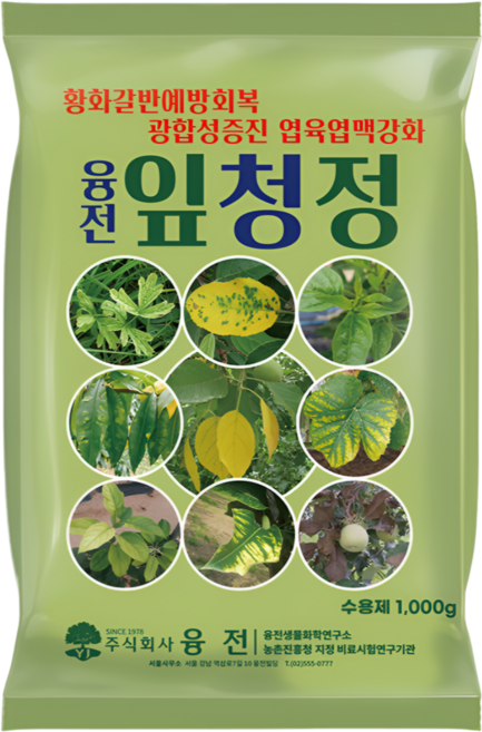 농업마켓365 융전 잎청정 수용제 갈반 황화 회복 광합성촉진 마그네슘 비료 식물영양제, 1개, 1kg