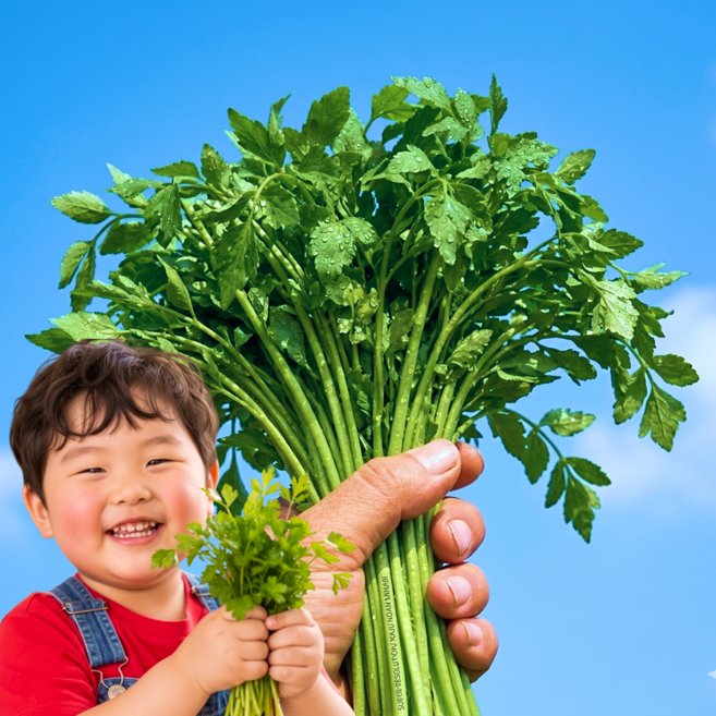 국내산 나주 미나리 돌미나리 산지직송, 1박스, 500g