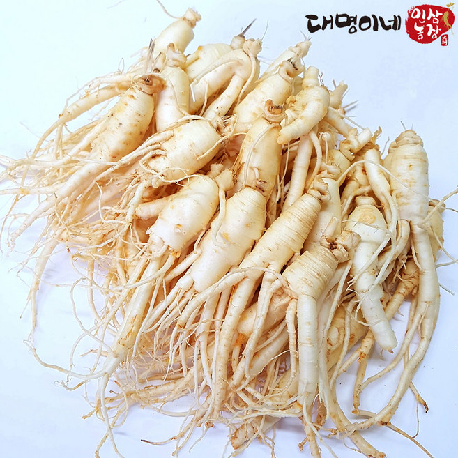 (세척)인삼수삼 오쿠홍삼용 작콩난발, 750g, 1개