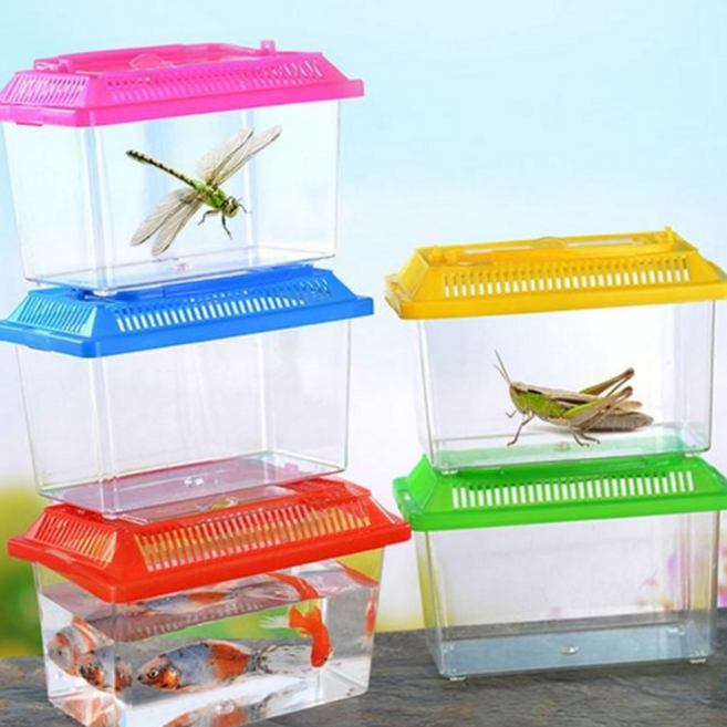 어린이 곤충통 교육용 놀이 관찰통 관찰 채집통 학습용 플라스틱 가정용 다용도 휴대용 다슬기 물고기, 2-곤충채집통-대