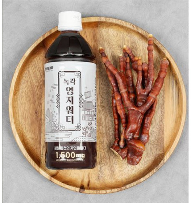 녹각영지워터 500ml x 10병 / 녹각영지버섯, 10개