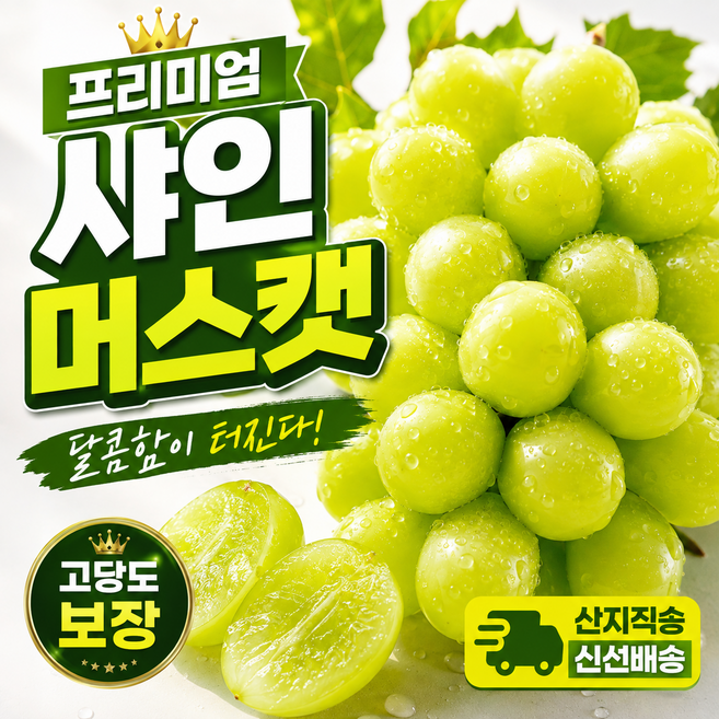 [한정100박스] 고당도보장 샤인머스캣 국내산 산지직송, 1개, 1kg