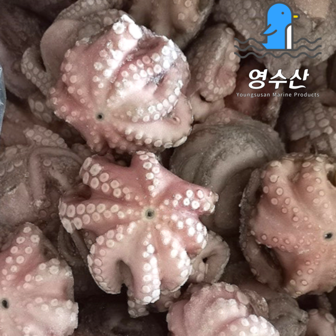 모리타니아 생문어 세척문어 업소용 200/300g(약27-33미), 1박스, 8kg