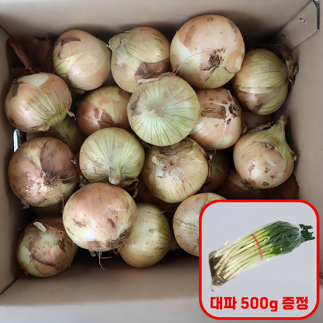 국내산 25년 햇양파 3kg 구매시 신선한 흙대파 500g 증정, 1개, 양파 소 3kg