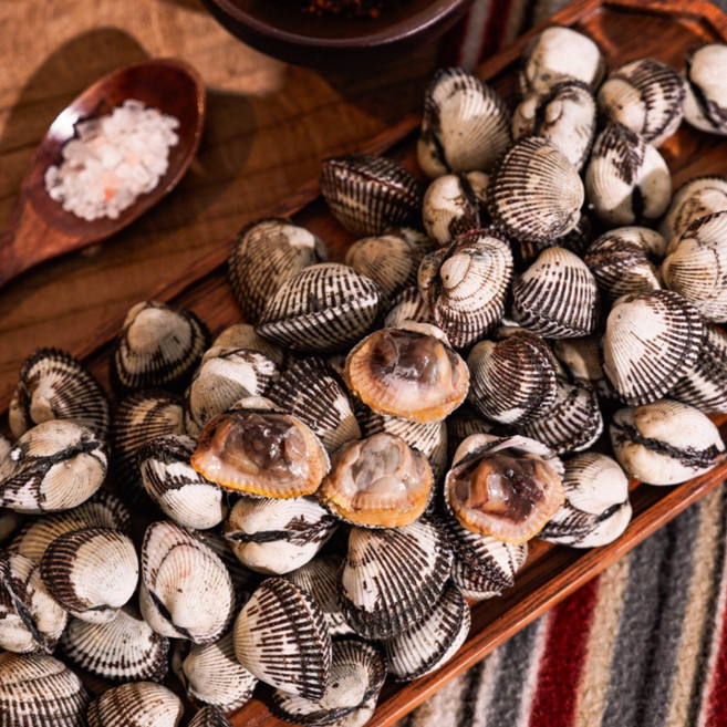 싱싱한 제철 벌교 꼬막, 1개, 상 10kg