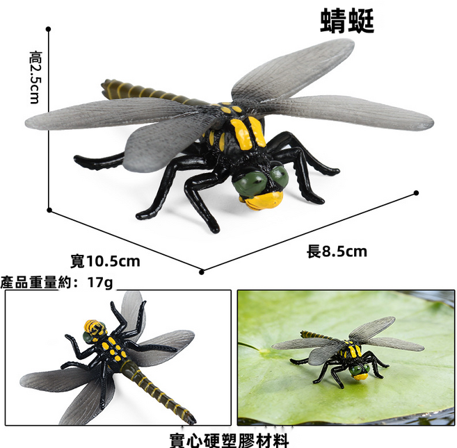 兒童仿真動物模型玩具蠍子蜈蚣蝸牛蜘蛛螞蟻甲蟲動物園花園裝飾品, 1個, M-1683蜻蜓:1601