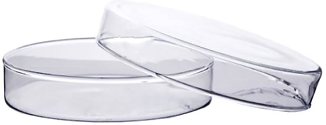 60mm유리페트리디쉬(샬레)/2개/JS-42389