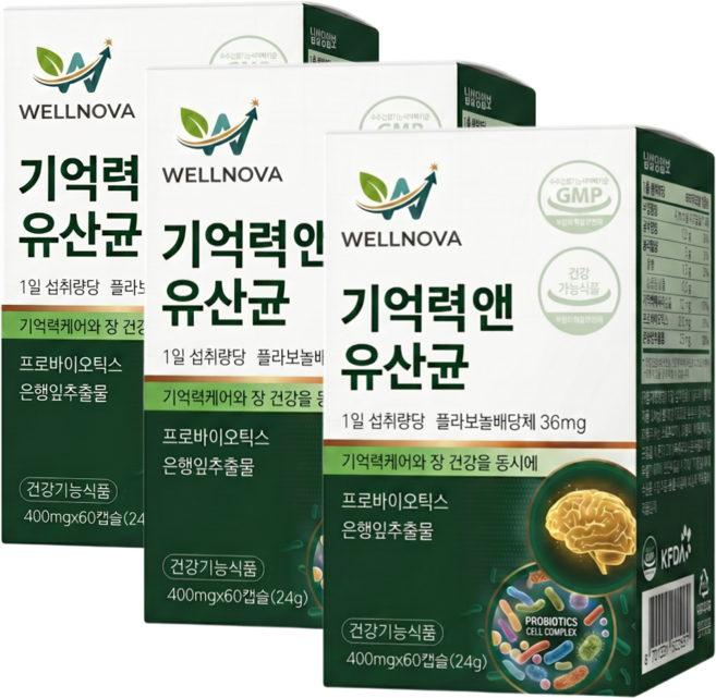 웰노바 기억력 뇌 장 건강 유산균 (15개 구매시 여에스더 뇌유산균 nk4146제품 증정), 24g, 3개