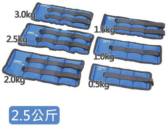 來而康 耀宏 YH254-4 運動健身用 沙袋 負重沙袋, 藍色, 2.5kg