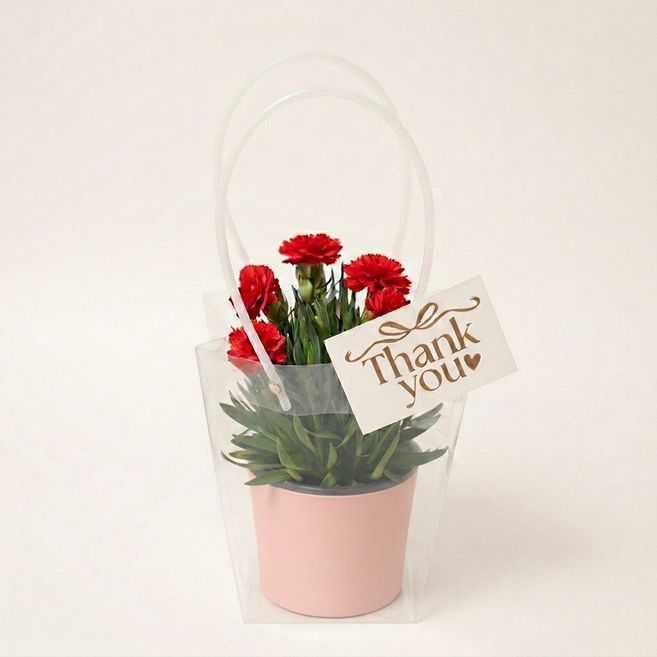 [가정의달] 어버이날 카네이션 화분 선물세트 (심플리+메시지카드+쇼핑백 풀구성), 1개, 카네이션 레드 & 화분 핑크