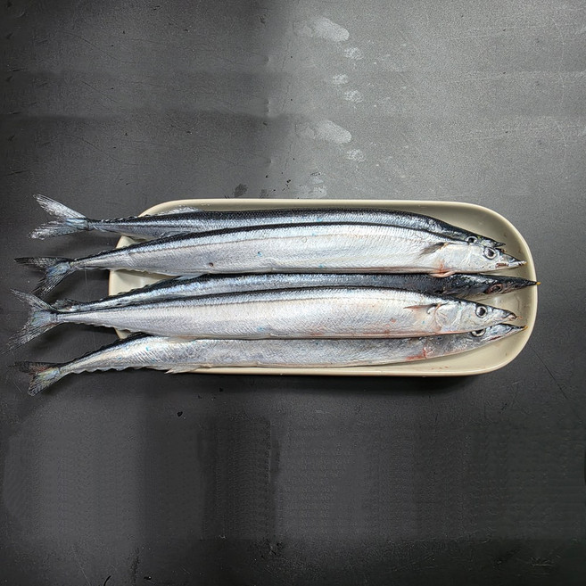 HACCP인증 # # (냉동 꽁치) # (조덕이네) # # (1kg /2kg /3kg/10kg) ## (10미 + - 10g-50g)### (구이 조림 튀김 업소 식당)###, 1개, 1kg